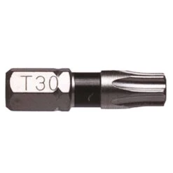 Big Timber Torx T30 X 1 In. L Insert Bit Steel 200 Pc