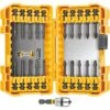 DeWalt FlexTorq Assorted 1/4 In. Impact Drive Bit Set 22 Pc